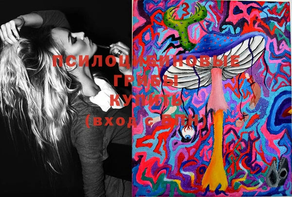 амф Вяземский