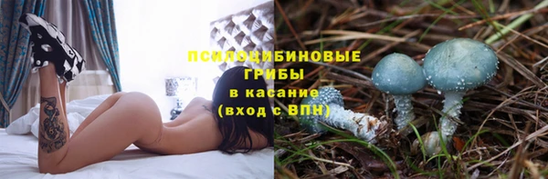 МДМА Протвино