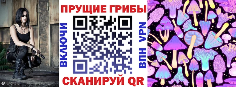 цена наркотик  Тавда  Псилоцибиновые грибы Magic Shrooms 