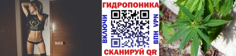 купить Тавда Бошки Шишки сатива